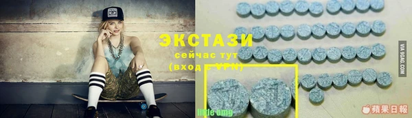 дмт Алексин
