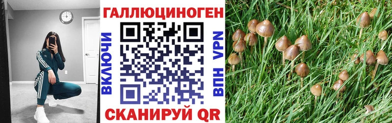 Галлюциногенные грибы GOLDEN TEACHER  Шатура 