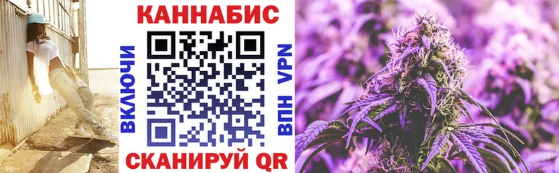 где купить наркоту  Шатура  Канабис сатива 